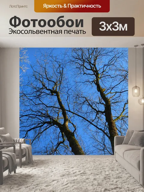 Фотообои Дерево
