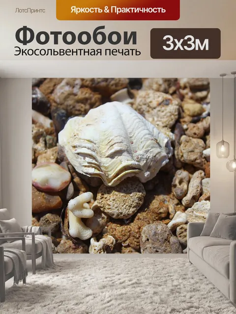 Фотообои Оболочка