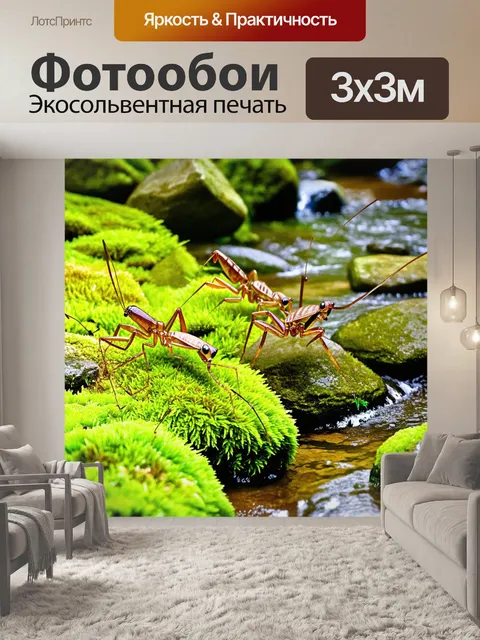 Фотообои сцена, где несколько богомолов в разных позах исследуют зеленый мох, покрывающий влажные камни у ручья