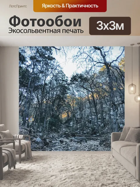 Фотообои Лес