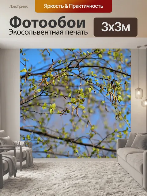 Фотообои Природа