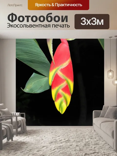 Фотообои Цветок