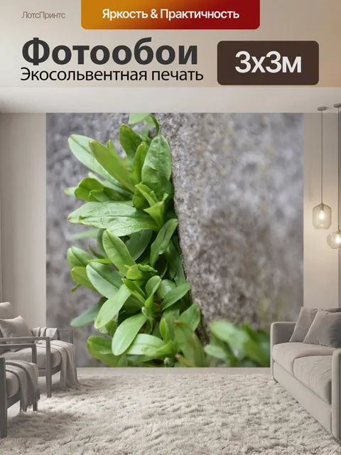 Фотообои Листья