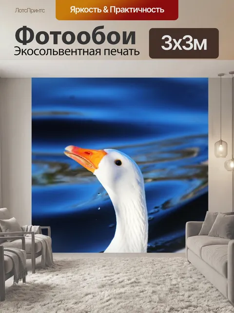 Фотообои Птица