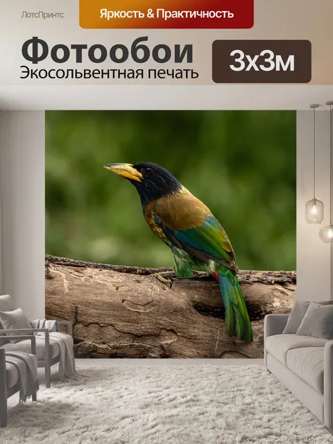 Фотообои Птица
