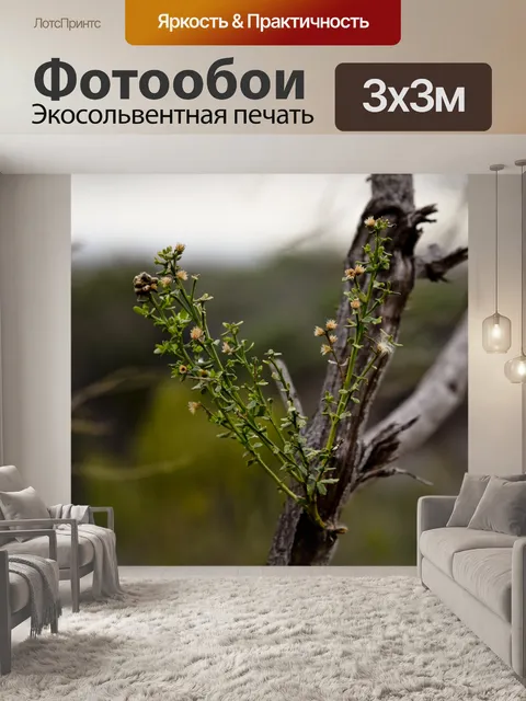 Фотообои Зимний рост