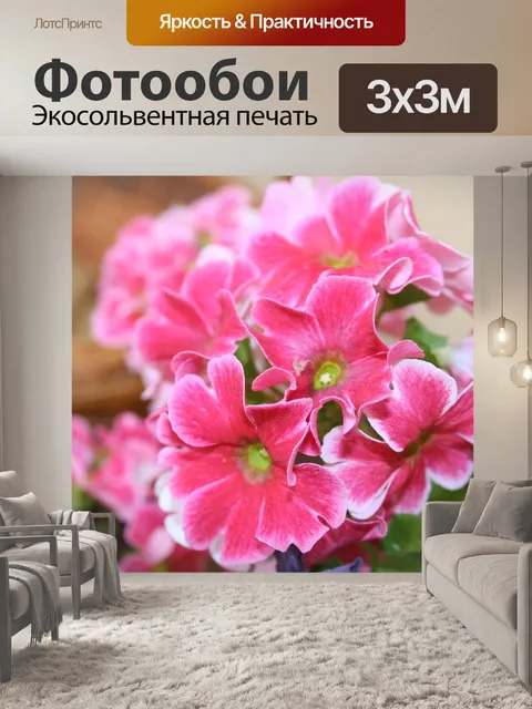 Фотообои Цветок
