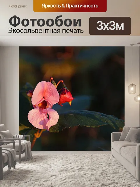Фотообои Лес