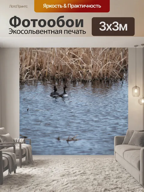 Фотообои Луны в озере