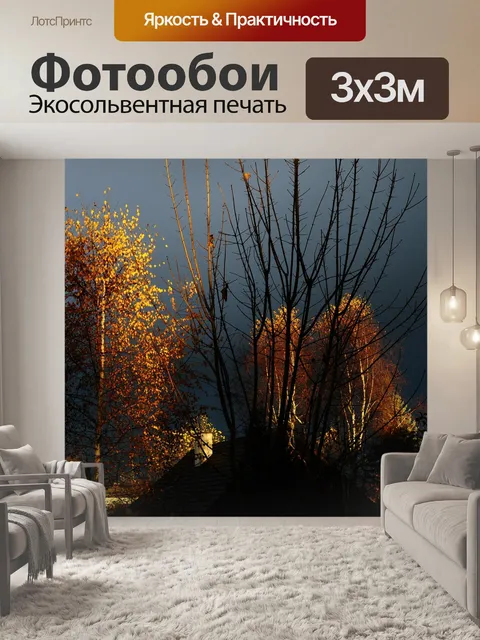Фотообои Падение