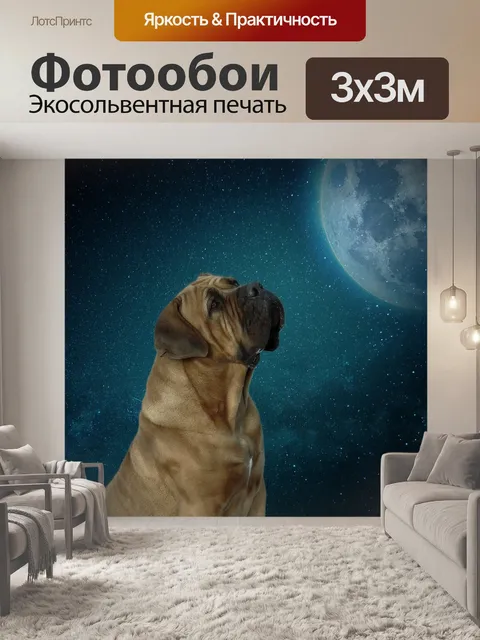 Фотообои Собака