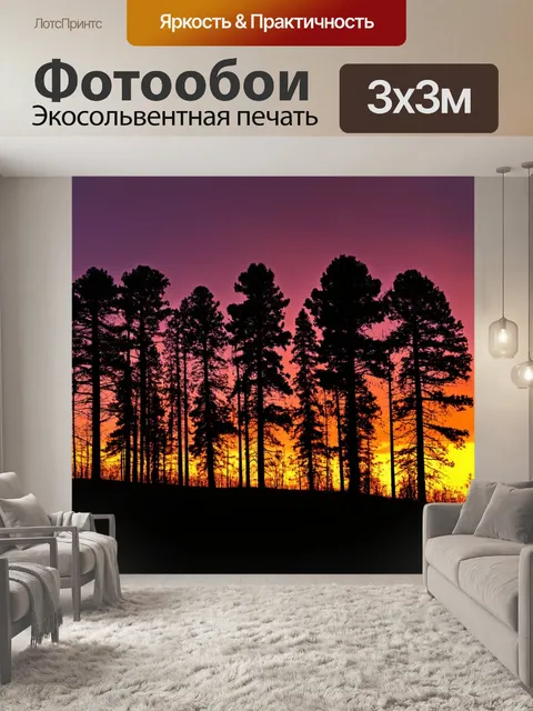 Фотообои с черным силуэтом леса на фоне заката