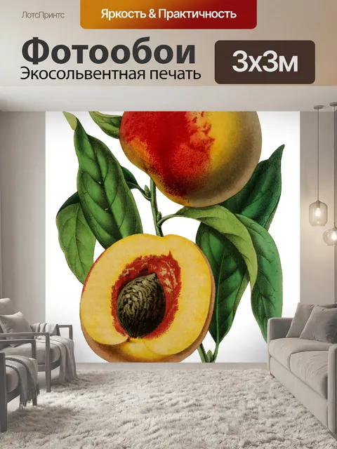 Фотообои Персик Фрукты Винтаж Искусство