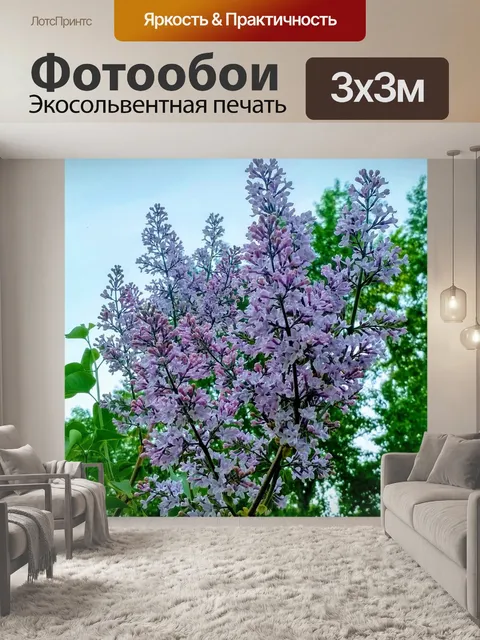 Фотообои Синий