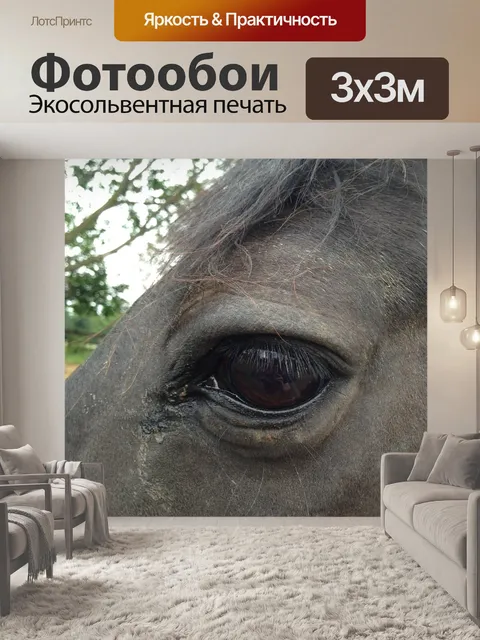 Фотообои Лошадь
