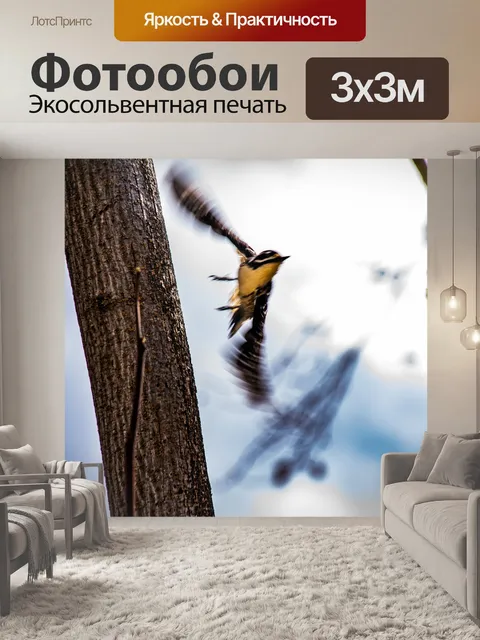 Фотообои Дятел улетает от дерева