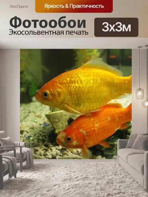 Фотообои Золотая рыбка