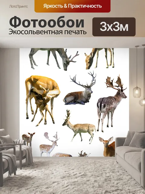 Фотообои Лес