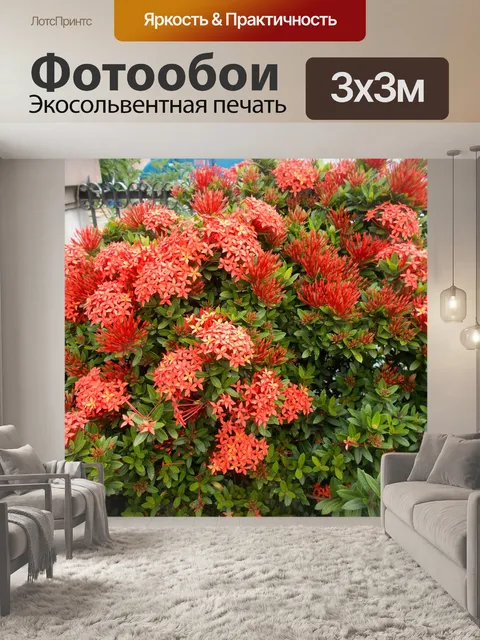 Фотообои Красные цветы икхоры