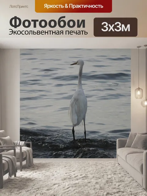 Фотообои Аист