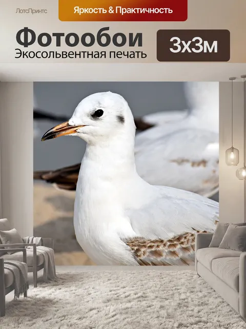 Фотообои Птица