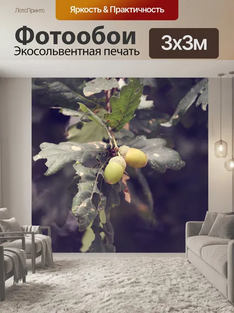 Фотообои Дубовые желуди на ветке