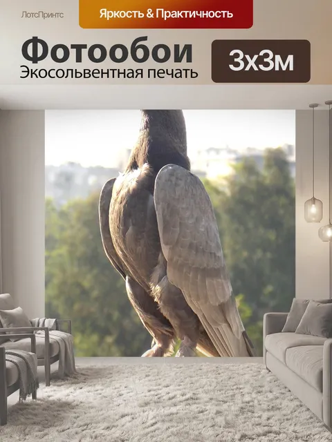 Фотообои Голубь