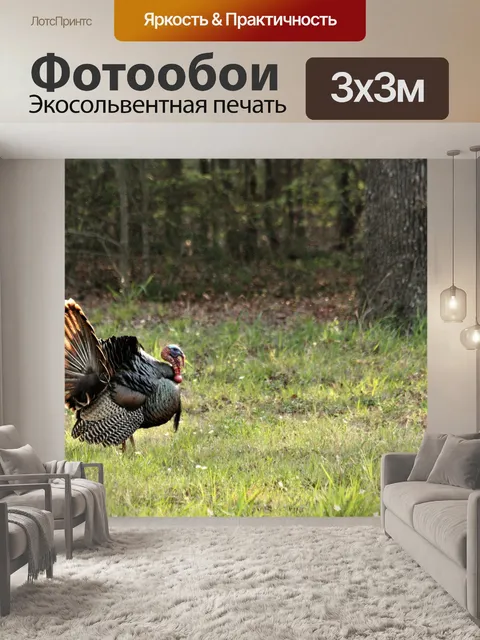 Фотообои Дикая Томская граница