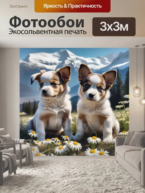 Фотообои собачки, милые, горы