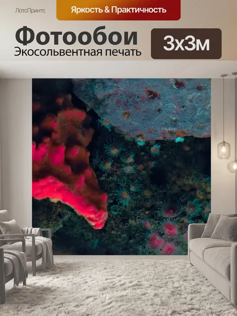 Фотообои Морская жизнь