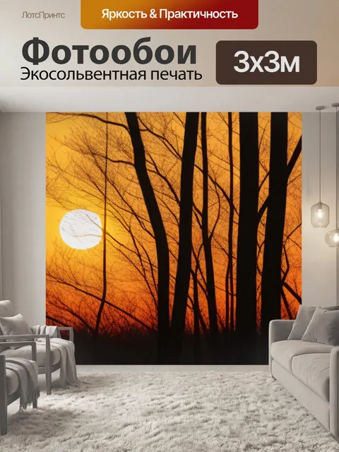 Фотообои вечерний лес с закатом, окрашивающим ветви в оранжевые цвета
