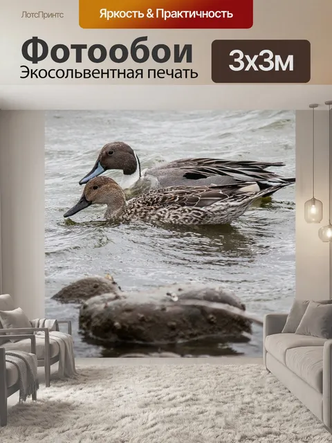 Фотообои Вод