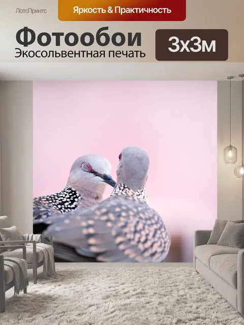 Фотообои Птица