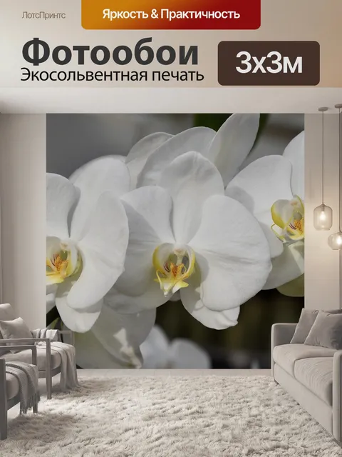 Фотообои Цветок