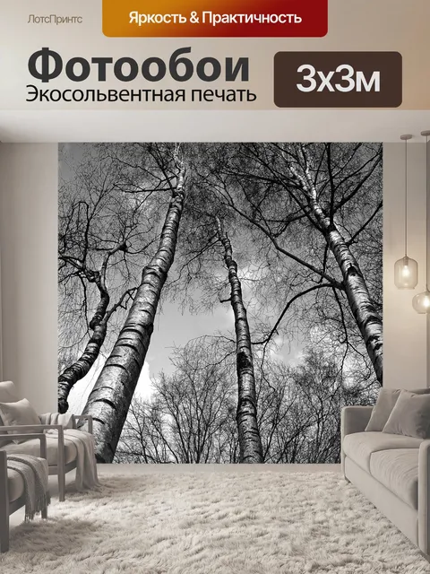Фотообои Береза