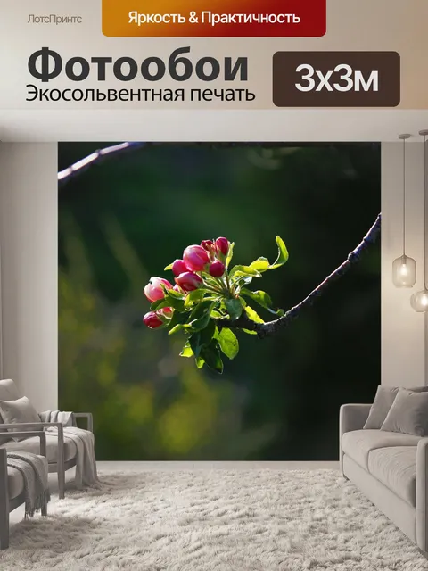 Фотообои Цветок