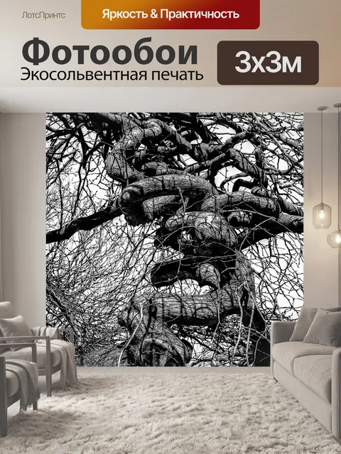 Фотообои Дерево