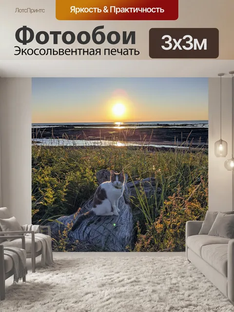 Фотообои Кошка