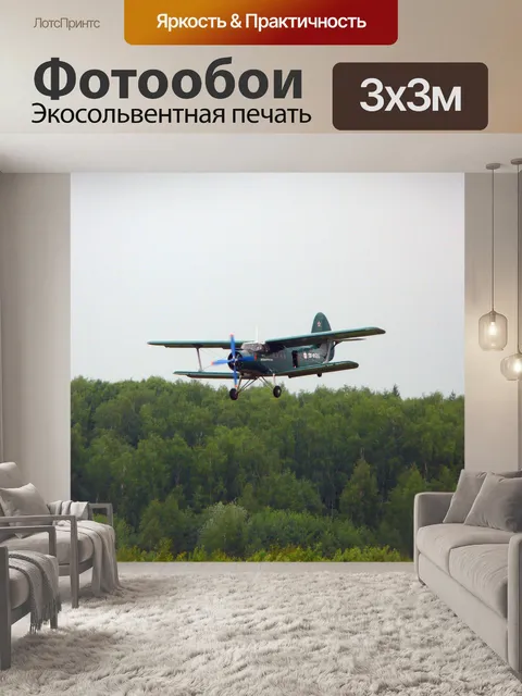 Фотообои Биплан