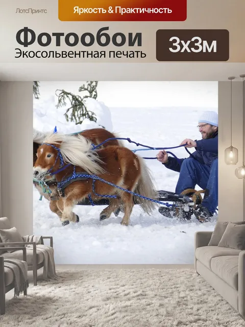 Фотообои Лошадь