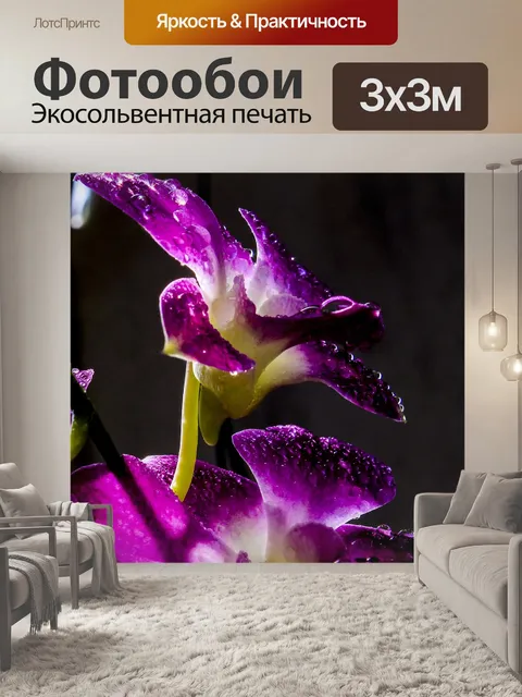 Фотообои После