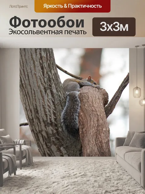 Фотообои Белка