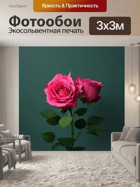 Фотообои розы в стиле минимализм