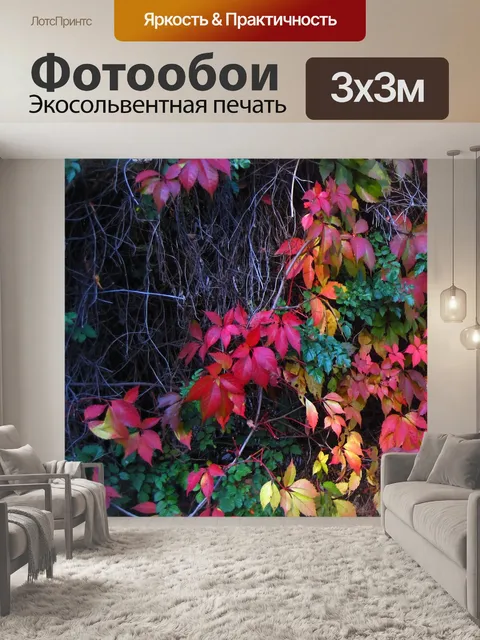 Фотообои красные и желтые листья осенью