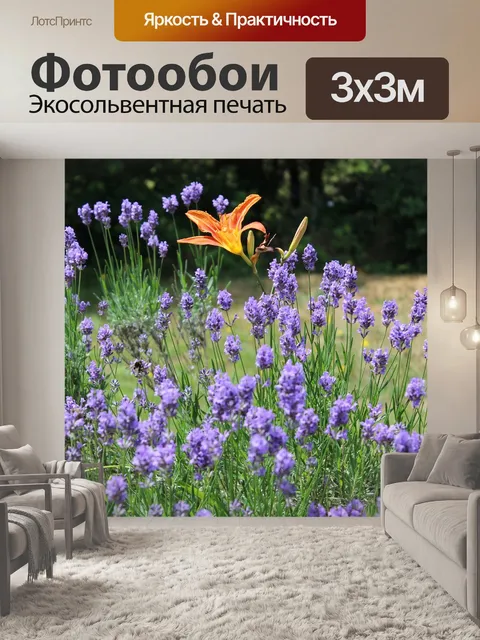 Фотообои Лили