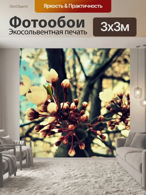 Фотообои Природа