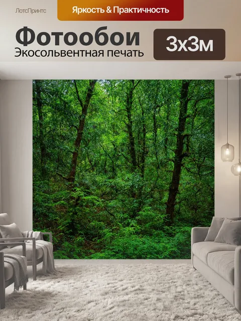 Фотообои зелёный лес с редкими деревьями и экзотическими растениями