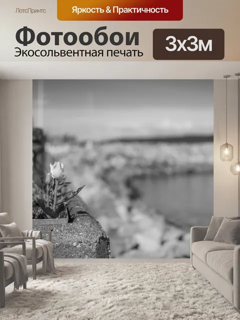 Фотообои Черное и белое