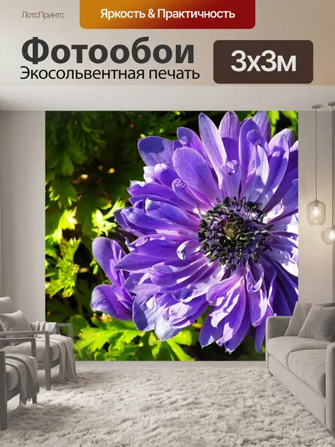 Фотообои Анемоны