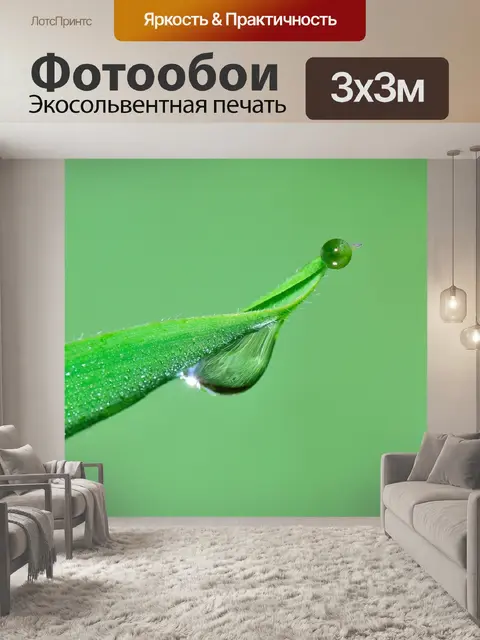 Фотообои Природа